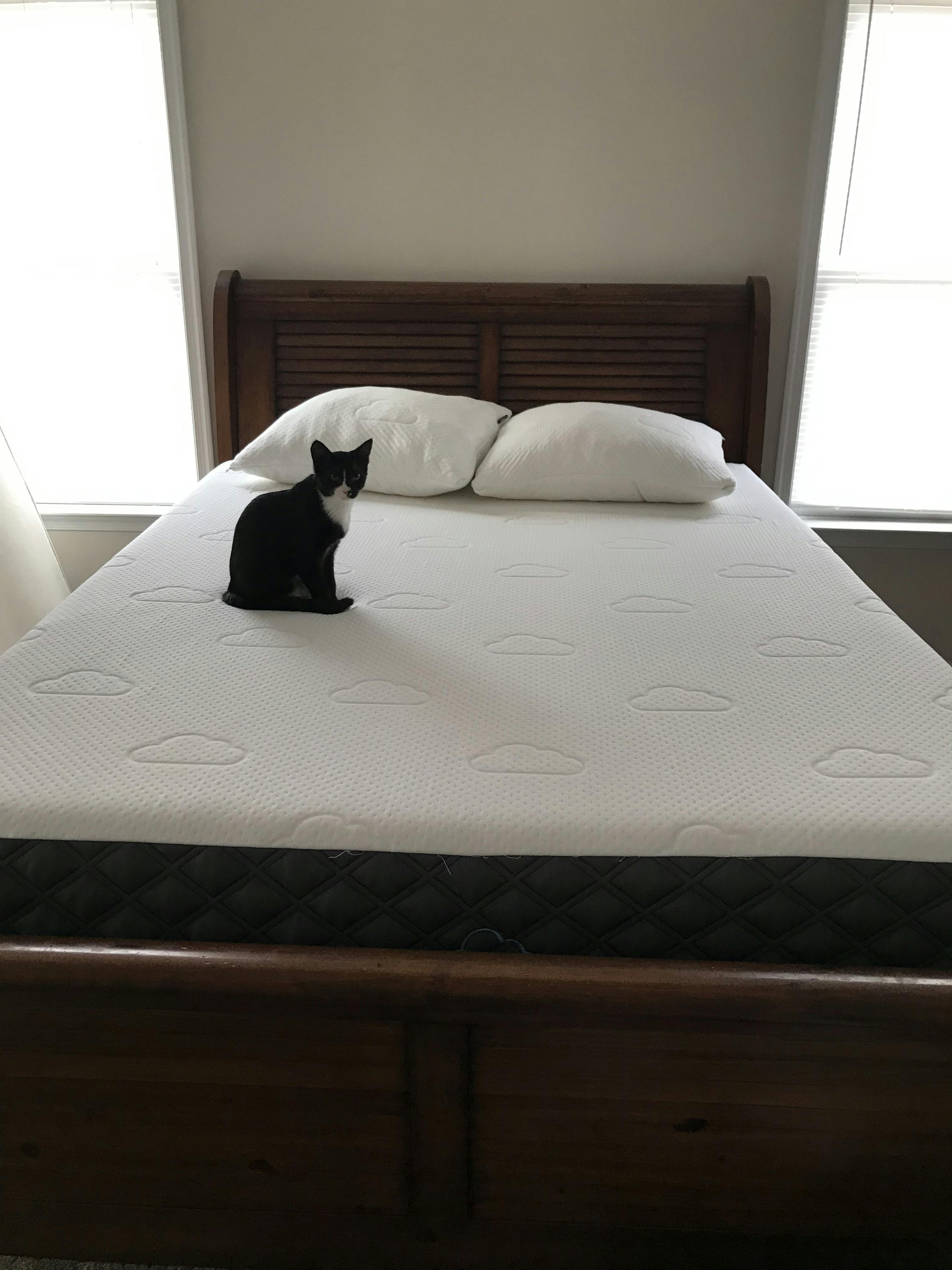 Puffy Pillow Promo Code at John Lowe blog